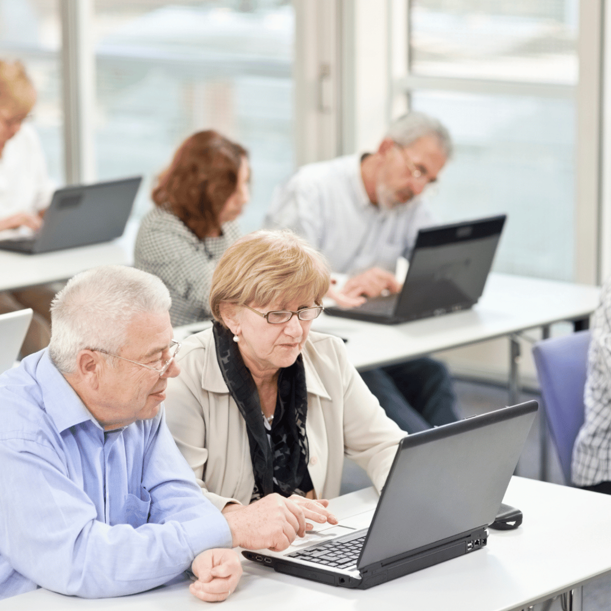 Grupo de adultos mayores aprendiendo juntos